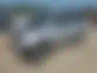 Vehicle Image- 2005 Ford Escape