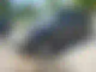 Vehicle Image- 2005 Ford Escape