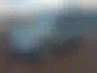 Vehicle Image- 2007 Ford Escape