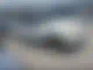 Vehicle Image- 2001 Ford Explorer