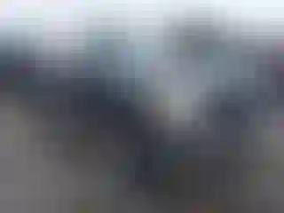 Vehicle Image- 2001 Ford Explorer