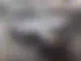 Vehicle Image- 2000 Ford Explorer