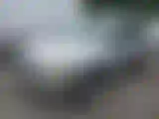 Vehicle Image- 2003 Ford Escape