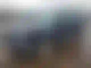 Vehicle Image- 2003 Ford Escape