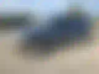 Vehicle Image- 2005 Ford Escape