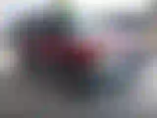 Vehicle Image- 2005 Ford Escape