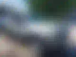 Vehicle Image- 2006 Ford Escape