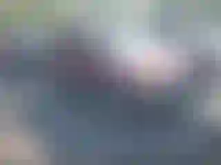 Vehicle Image- 2004 Ford Escape