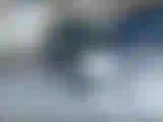 Vehicle Image- 2004 Ford Escape