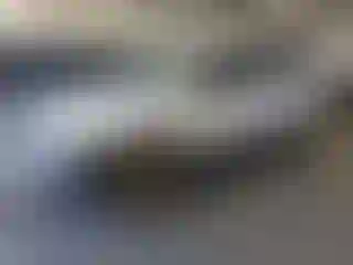 Vehicle Image- 2007 Ford Escape
