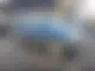 Vehicle Image- 2007 Ford Escape