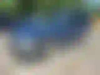 Vehicle Image- 2007 Ford Escape
