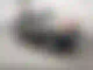 Vehicle Image- 2005 Ford Escape