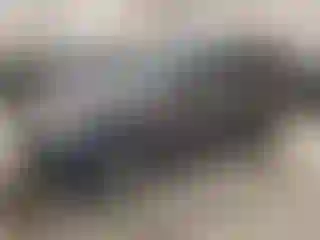 Vehicle Image- 2005 Ford Escape