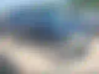 Vehicle Image- 2006 Ford Escape