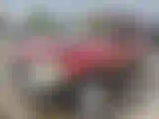 Vehicle Image- 2006 Ford Escape