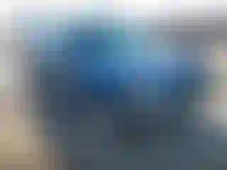 Vehicle Image- 2007 Ford Escape