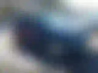 Vehicle Image- 2004 Ford Escape