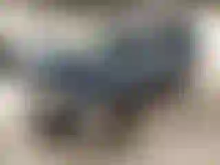 Vehicle Image- 2005 Ford Escape