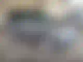 Vehicle Image- 2006 Ford Escape