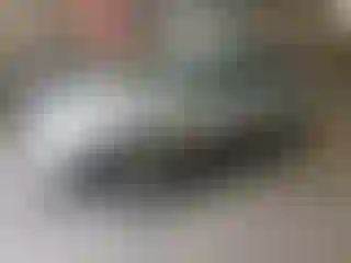 Vehicle Image- 2005 Ford Escape
