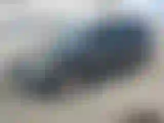 Vehicle Image- 2005 Ford Escape