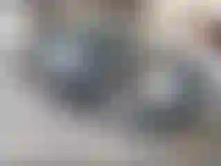 Vehicle Image- 2007 Ford Escape