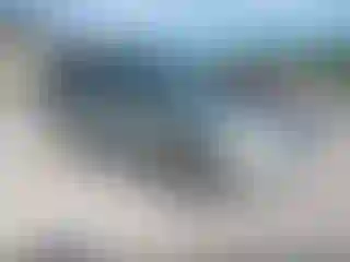 Vehicle Image- 2007 Ford Escape