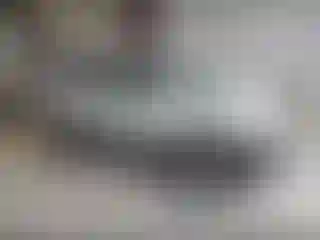 Vehicle Image- 2005 Ford Escape