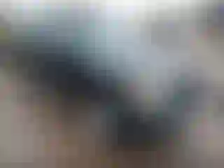 Vehicle Image- 2005 Ford Escape