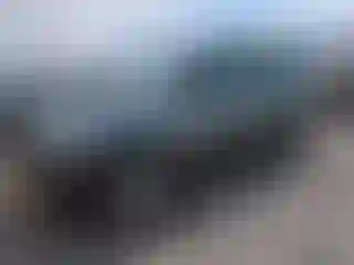 Vehicle Image- 2006 Ford Escape