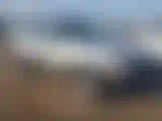 Vehicle Image- 2003 Ford Escape