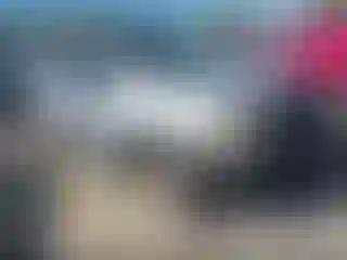 Vehicle Image- 2003 Ford Escape