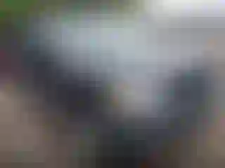 Vehicle Image- 2007 Ford Escape