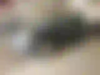Vehicle Image- 2003 Ford Escape