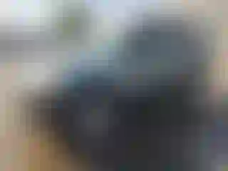 Vehicle Image- 2005 Ford Escape