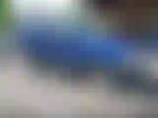 Vehicle Image- 2005 Ford Escape