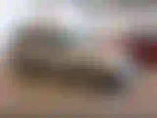 Vehicle Image- 2005 Ford Escape