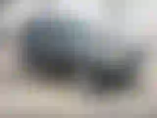 Vehicle Image- 2006 Ford Escape
