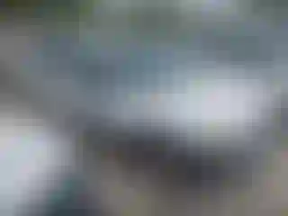 Vehicle Image- 2006 Ford Escape