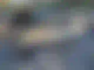 Vehicle Image- 2007 Ford Escape