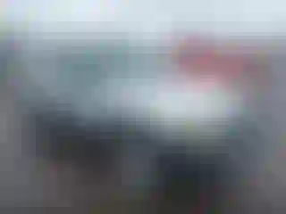 Vehicle Image- 2007 Ford Escape