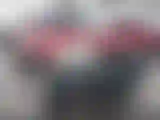 Vehicle Image- 2005 Ford Escape