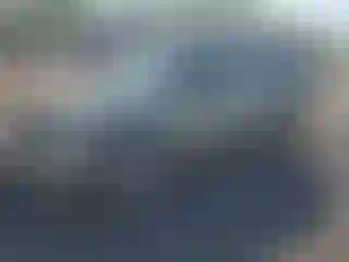 Vehicle Image- 2005 Ford Escape