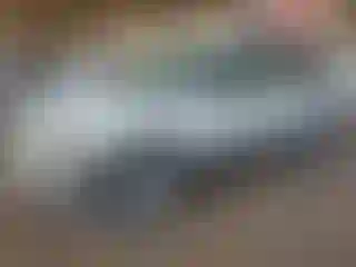 Vehicle Image- 2005 Ford Escape