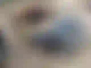 Vehicle Image- 1998 Ford Explorer