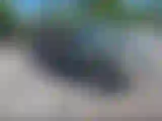 Vehicle Image- 1998 Ford Explorer