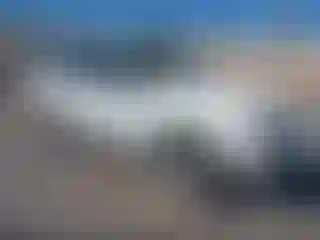 Vehicle Image- 1999 Ford Explorer