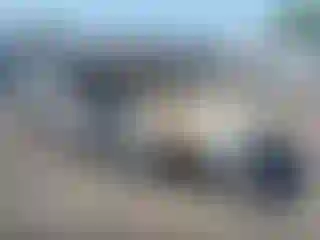 Vehicle Image- 1998 Ford Explorer