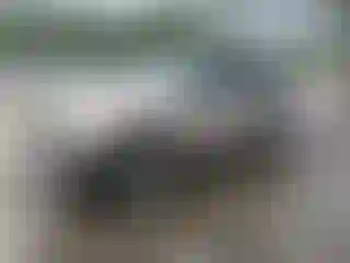 Vehicle Image- 1998 Ford Explorer